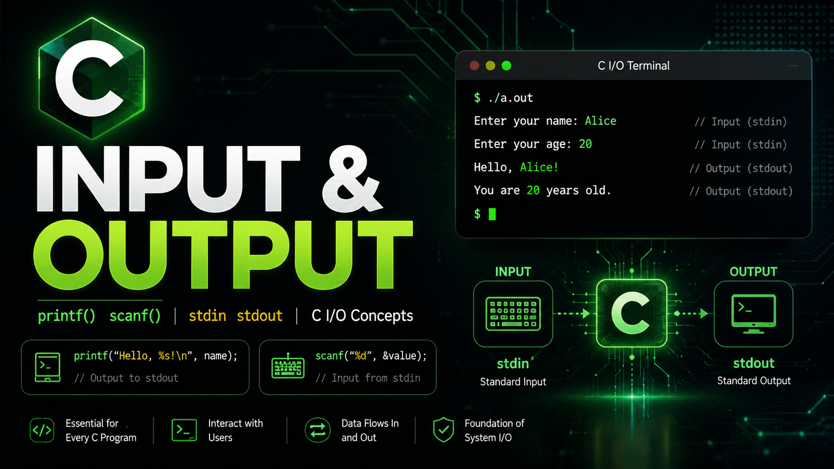 C Input and Output - printf scanf stdin stdout Guide 2026